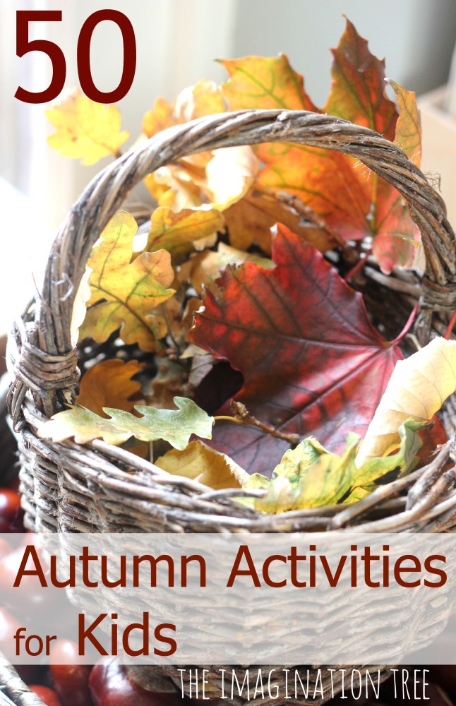 Autumn activities for homeschool learning and fun