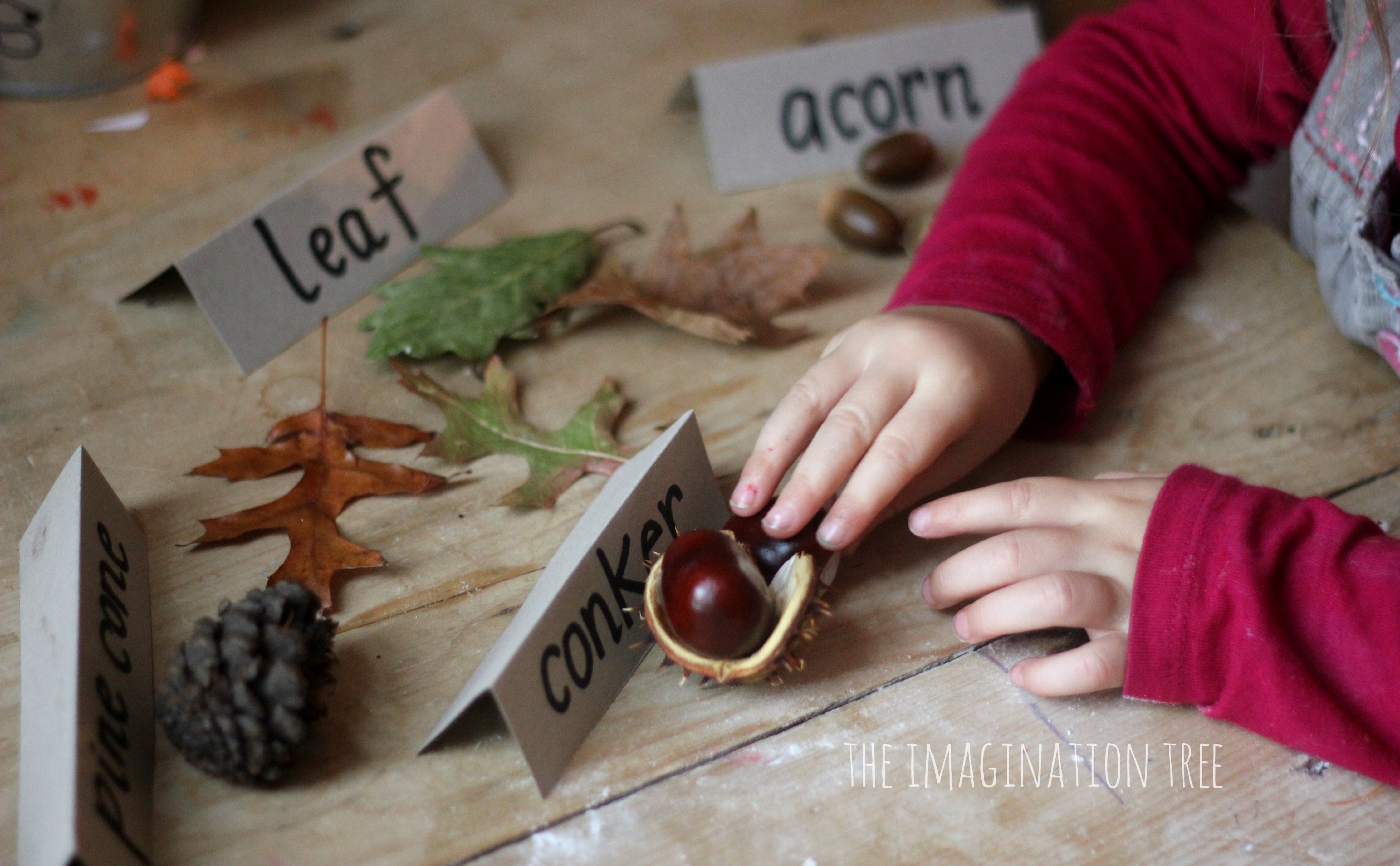 Autumn Nature Exploration Table - The Imagination Tree