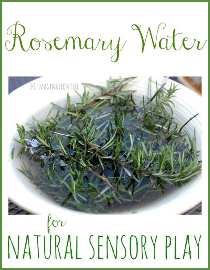 Rosemary water for sensory play
