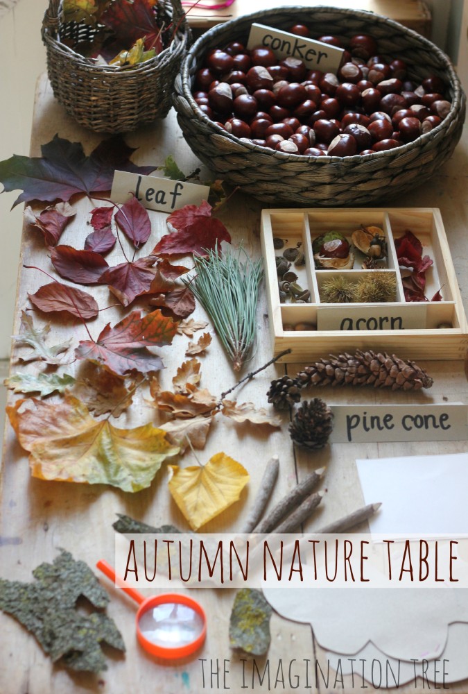 Autumn Nature Exploration Table