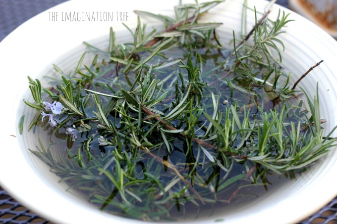 Rosemary scented water for sensory play