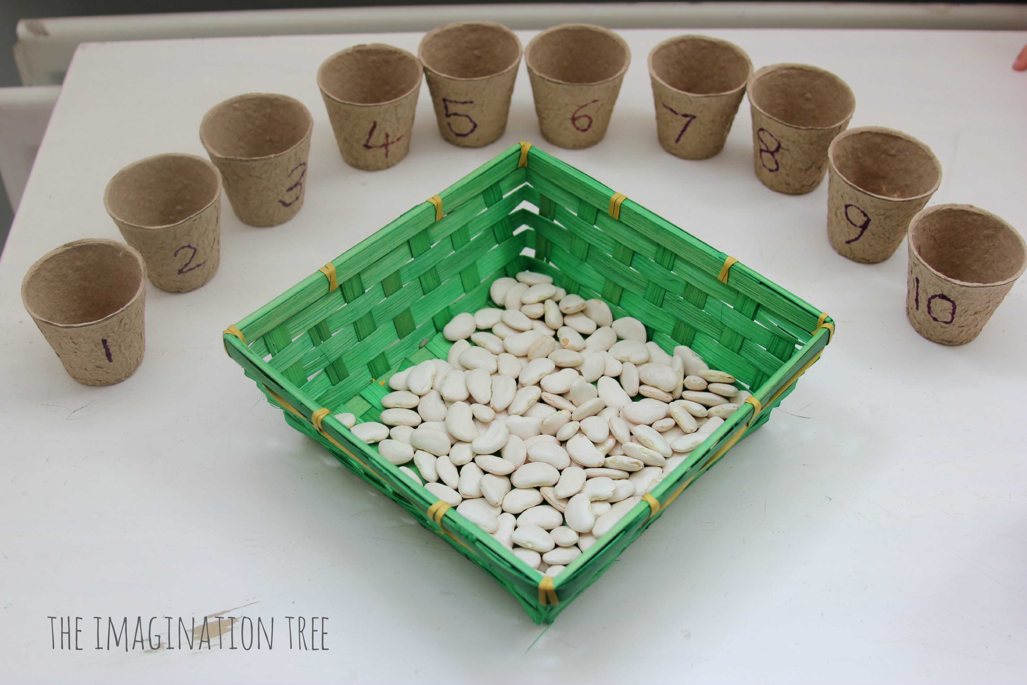 Beans and Flower Pots Counting Activity - The Imagination Tree