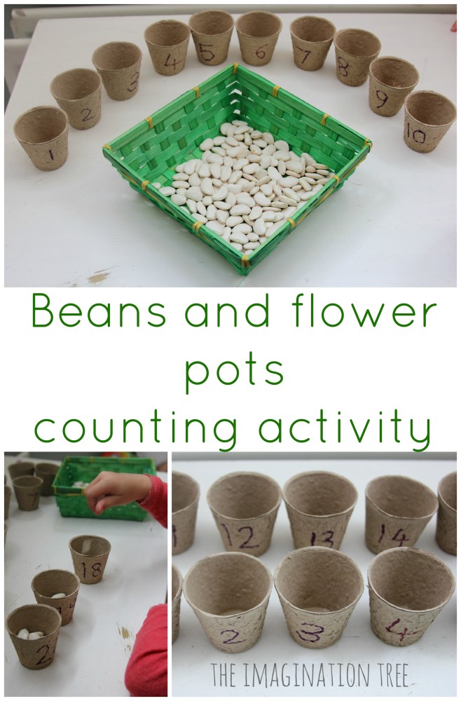 Beans and flower pots counting activity