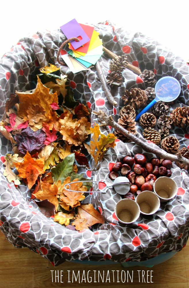 Autumn sensory and discovery table