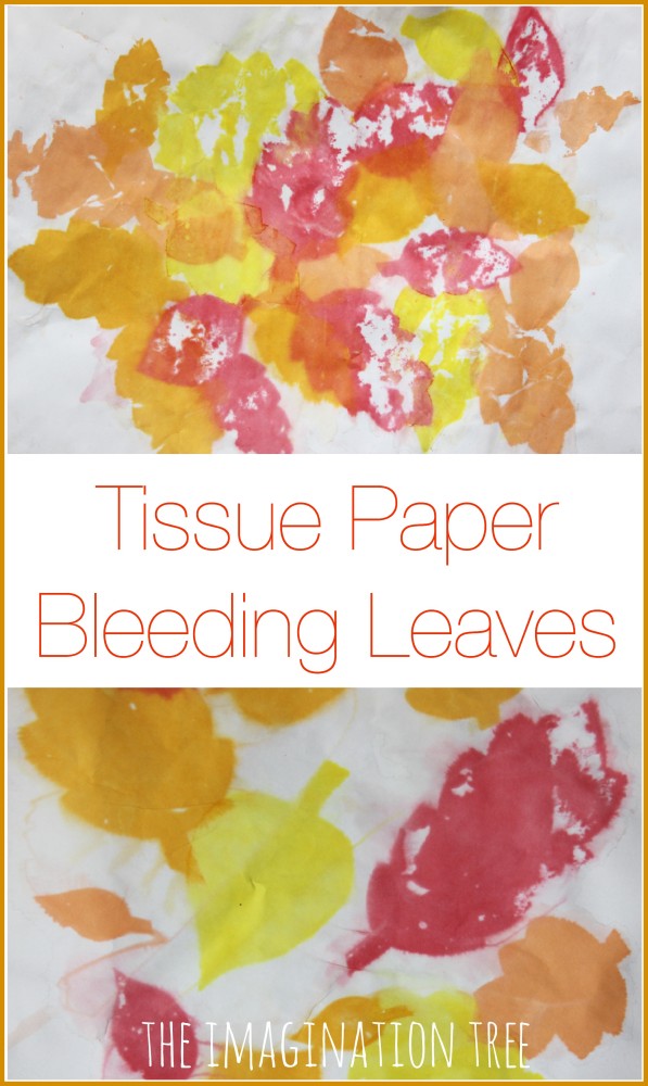 Tissue paper bleeding leaves Fall art project for kids