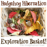 Hedgehog Hibernation Exploration Basket
