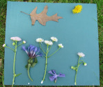 Art and Play in Nature: It’s Playtime!