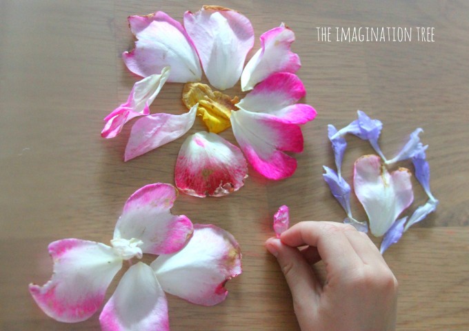 Flower art pictures