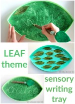 Leaf Sensory Writing Tray