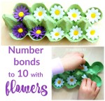 Number Bonds to 10 with Flowers