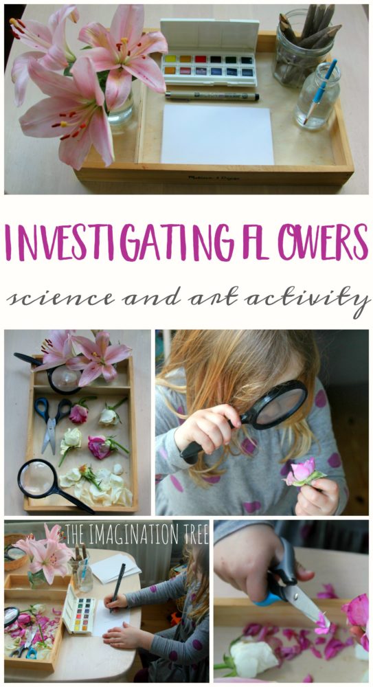Exploring and drawing flowers activity tray for preschoolers