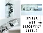 Spider Web Discovery Bottle